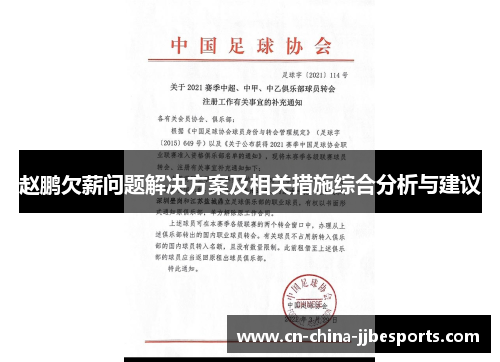 赵鹏欠薪问题解决方案及相关措施综合分析与建议